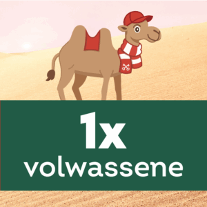 Kamelenrace - Ticket Volwassenen