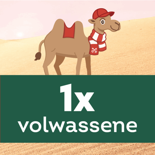 Kamelenrace - Ticket Volwassenen